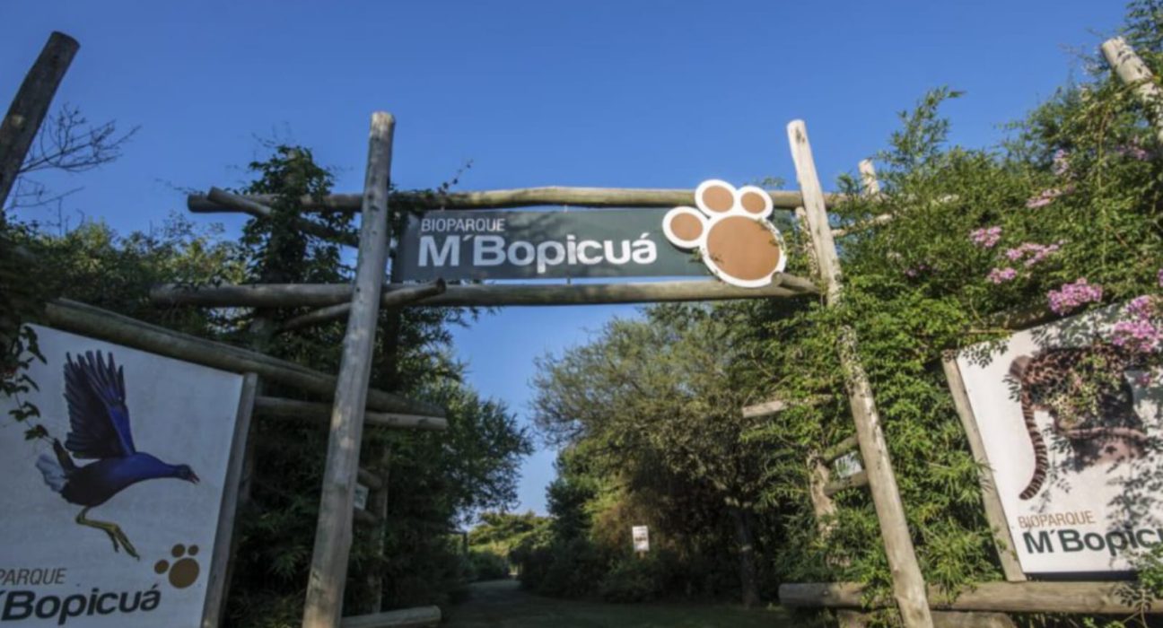 Bioparque M'Bopicuá abre sus puertas con visitas gratuitas en Semana de Turismo
